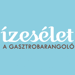 izeselet_logo